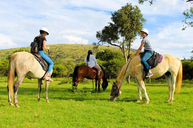 Pretoria Private Half-Day Horseback Riding Safari - The Sum Up