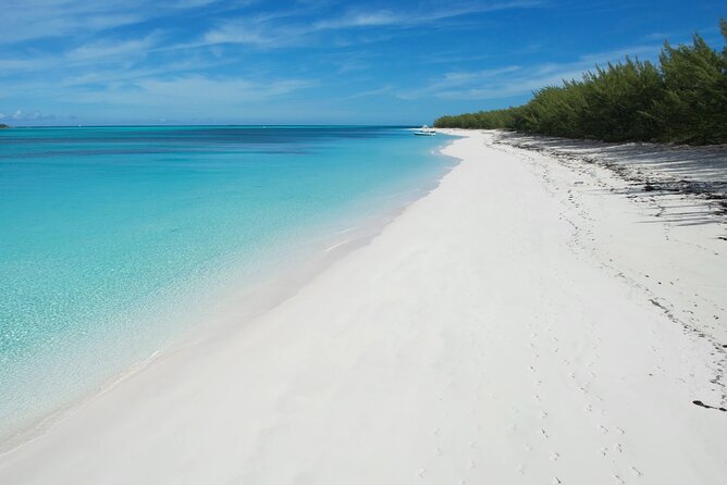 Private 4 Hour Rose Island Charter Snorkeling Turtles & Beaching - Reviews