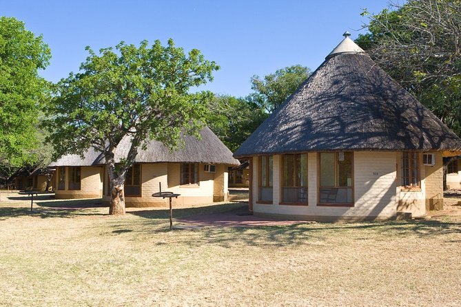 Private 5-Day Overnight Safari in Kruger Park From Skukuza Airport - Important Information