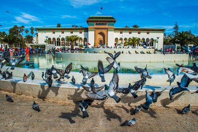 Private and Guided Tour of the City of Casablanca - Traveler Photos