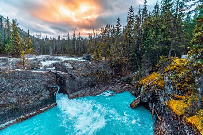 Private Full Day Tour of Yoho National Park With Licensed Guide - Wildlife and Nature Sightings