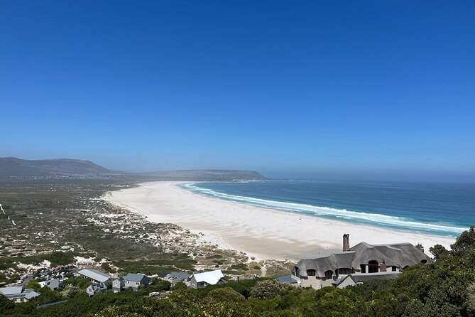 Private Guided Tour in Cape of Good Hope and Table Mountain - Scenic Views