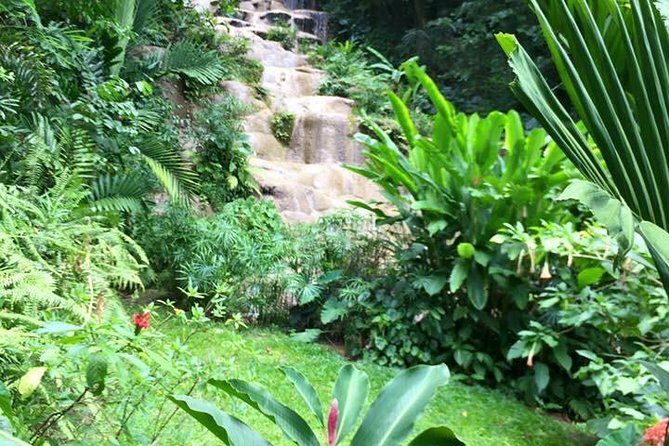 Private Konoko Falls and Blue Hole Combo Tour From Ocho Rios - Terms and Conditions