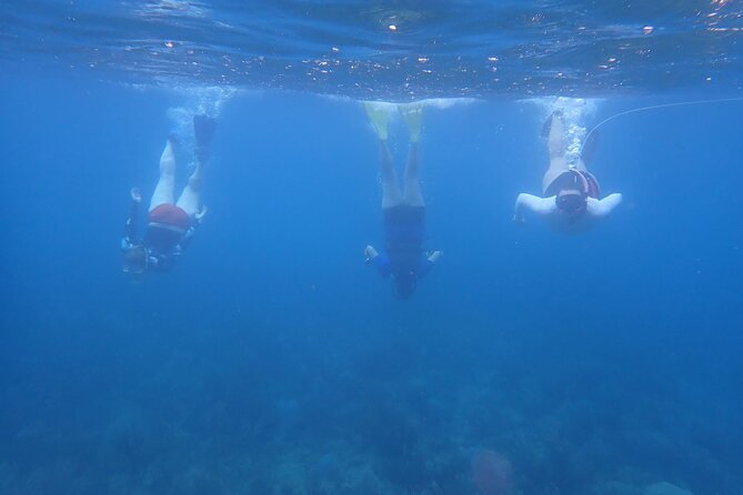 Private Rincon Snorkeling Adventure - Reviews and Pricing