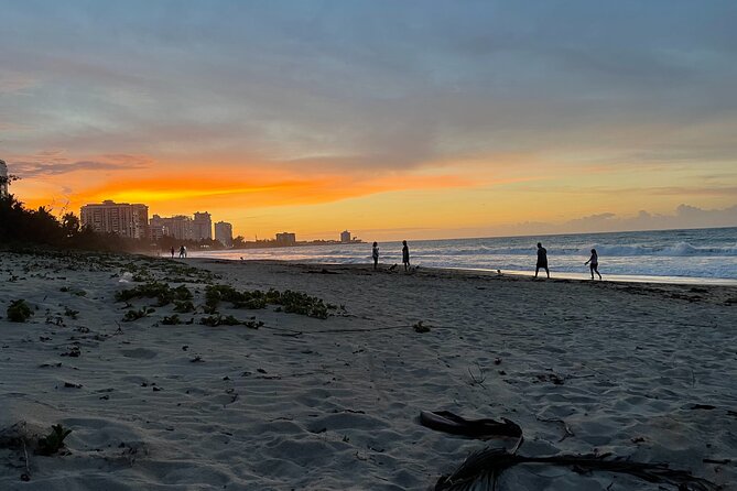 Private Romantic Beach Picnic at Sunset With Photos - Reviews and Pricing