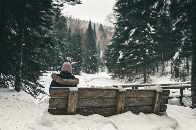 Private Snowshoeing Adventure From Badger Pass to Dewey Point - Booking and Confirmation Details