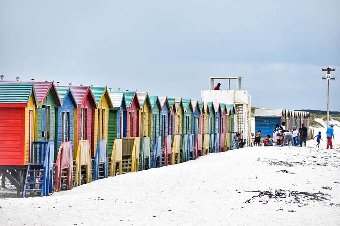 Private Tour Cape of Good Hope & Penguins Sightseeing Full Day - Expert Tour Guide
