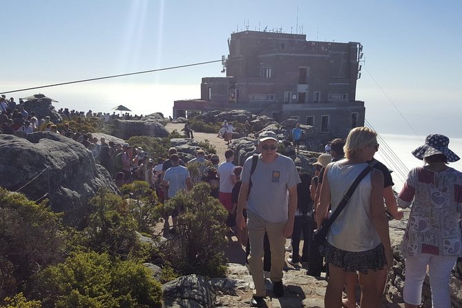Private Tour: Cape Town City and Table Mountain From Cape Town - Common Questions