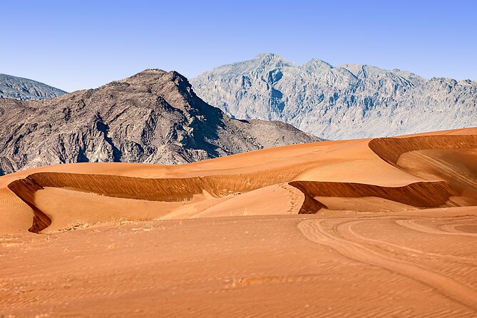 Private Tour East Coast Dibba & Fujairah Full Day From Dubai - Private Tour/Activity