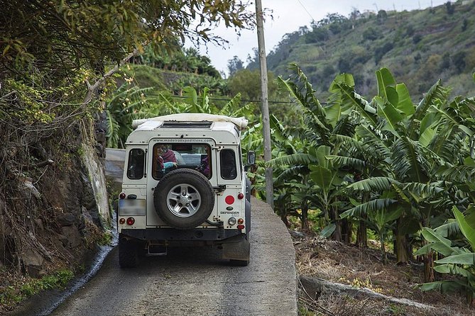 Private Tour: The Amazing West - Jeep Safari Tour - Full Day - Driver/guide