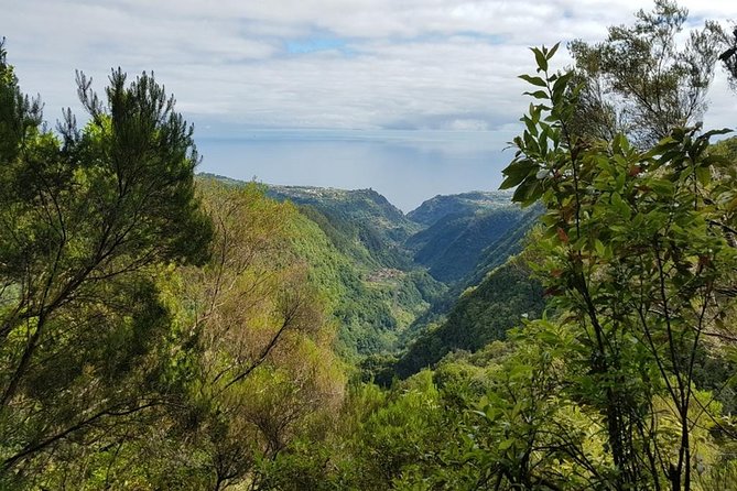 Private Tour The Biosphere Santana - Additional Information