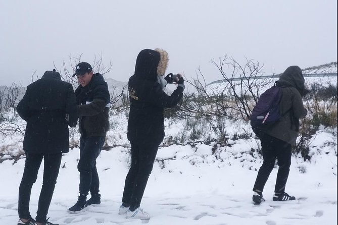 Private Tour Through Serra Da Estrela Park and Its Famous Cheese - Inclusions and Amenities
