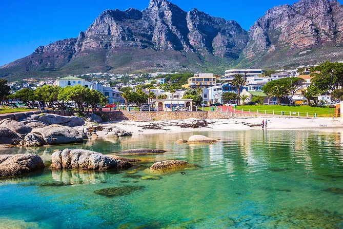Private Transfer: Tambo Airport JNB to Johannesburg in Luxury Van - Reviews and Questions
