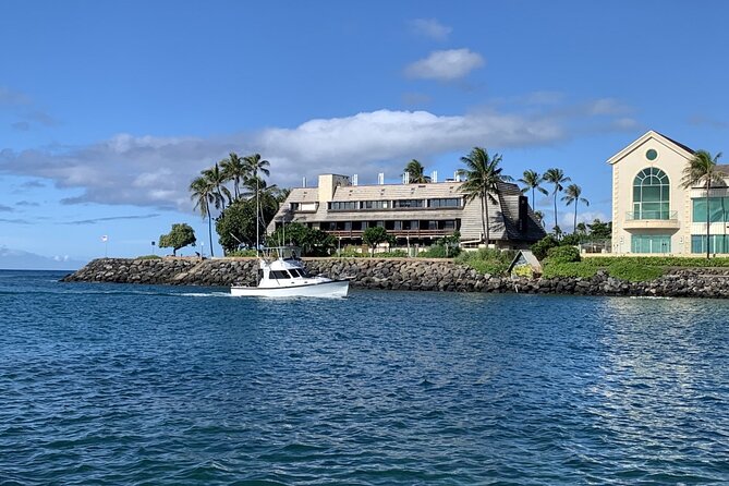 Private Whale Watching and Dolphin Excursion - Directions