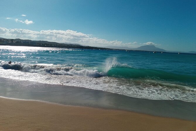 Puerto Plata Half-Day Golden Beach Tour  - Dominican Republic - Additional Information for Participants