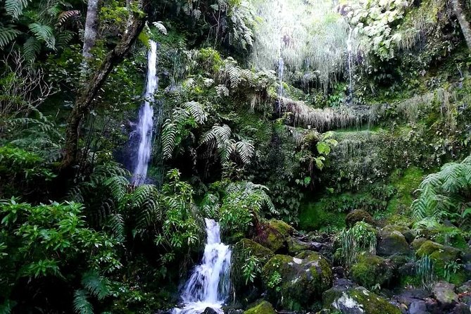 Queimadas-Caldeirão Verde - Accommodation and Dining Options