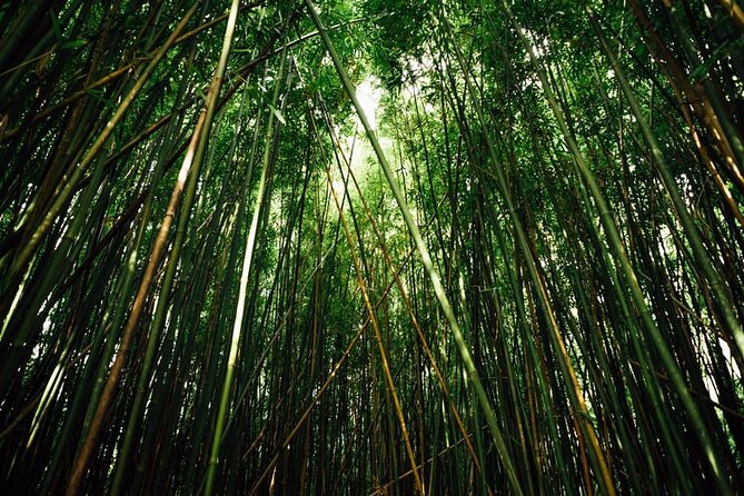 Road to Hana Private Tour With Local Guide - Reviews
