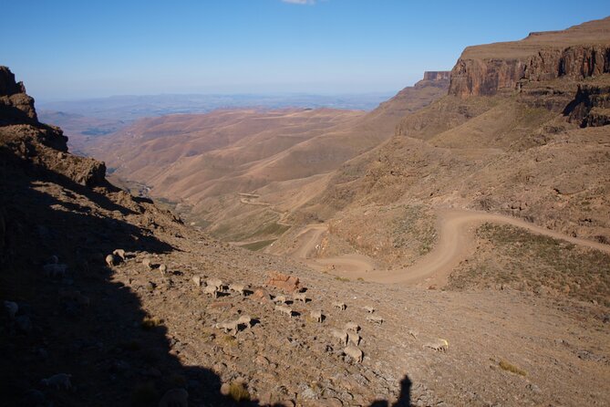 Sani Pass Tour Into Lesotho From Underberg and Himeville - Traveler Reviews