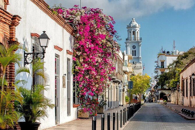 Santo Domingo City Tour From Punta Cana - Pricing