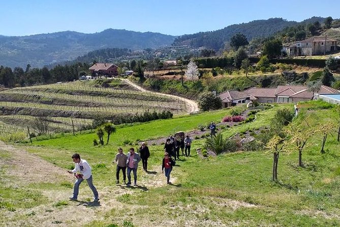 Selection Tasting Quinta De Santa Cristina Vinho Verde - Visit Quinta De Santa Cristina: Tours and Events