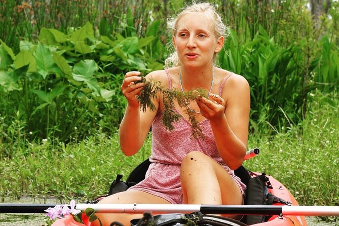 Self Guided Kayak Bayou Swamp Tour - Additional Information