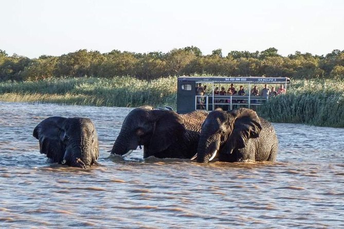 Shoreline Hippo and Crocodile Boat Cruises, Isimangaliso Wetland Park - The Sum Up