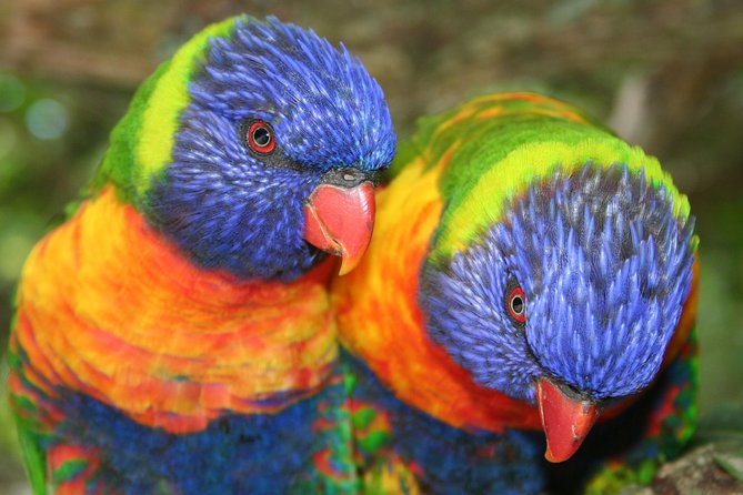 Skip the Line: Birds of Eden Admission Ticket - Additional Information