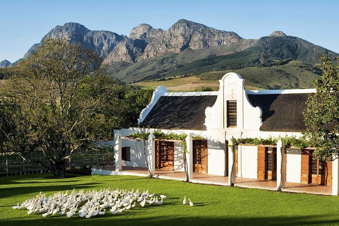 South Africa. Cape Town Tour, Aquila Safari Game Reserve Overnight - The Sum Up
