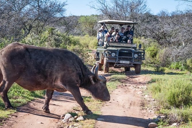South African Bush Safari in Oudtshoorn  - Western Cape - Cancellation Policy