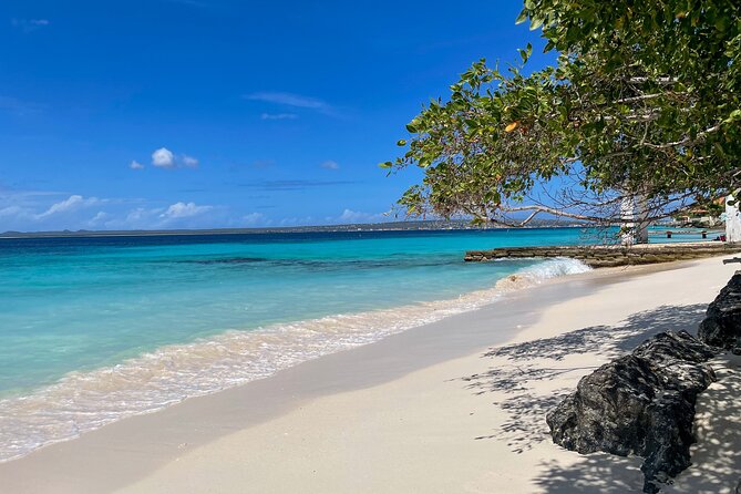 South Bonaire Private Island Tour - Reviews and Testimonials