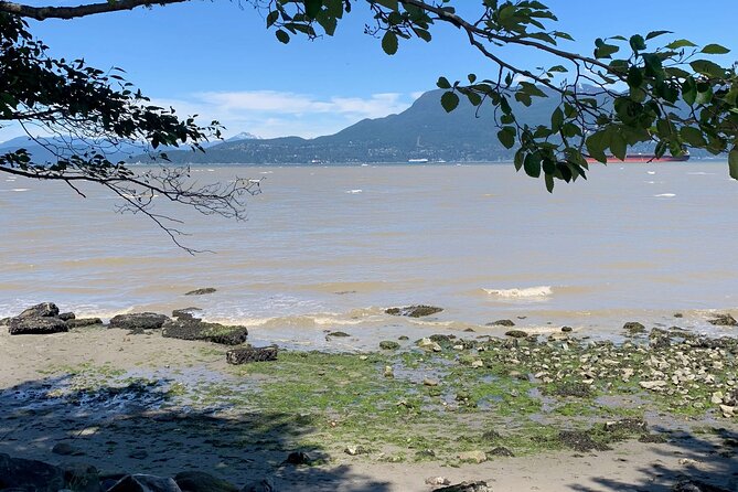 Spirit Of Vancouver Bike or Ebike Tour - Pricing and Payment