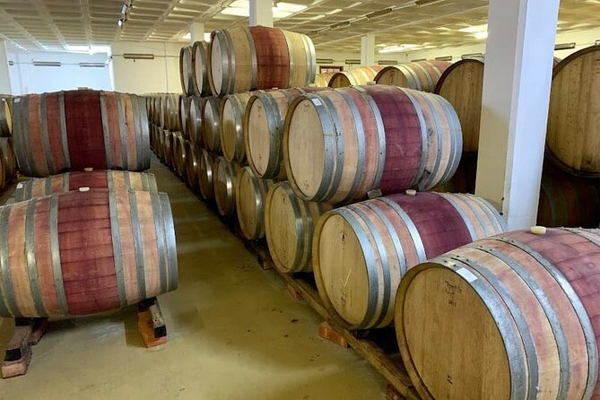 Stellenbosch & Franschhoek Wine Tasting Tour From Cape Town - Traveler Photos