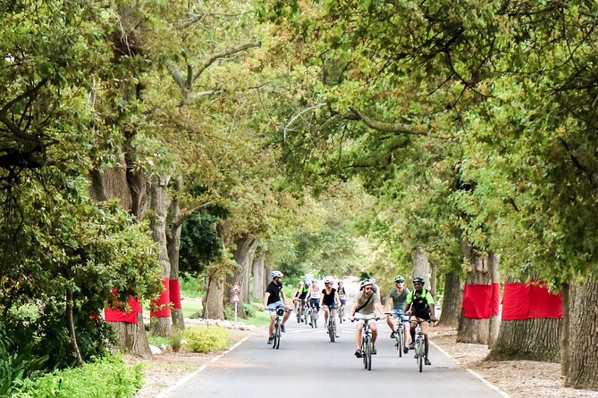 Stellenbosch Winelands Luxury Ebike Tour - Regular Stops for Wine Tastings