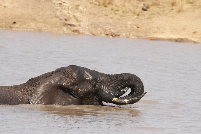 Sunset Game Drive Safari Near Hoedspruit - Reviews