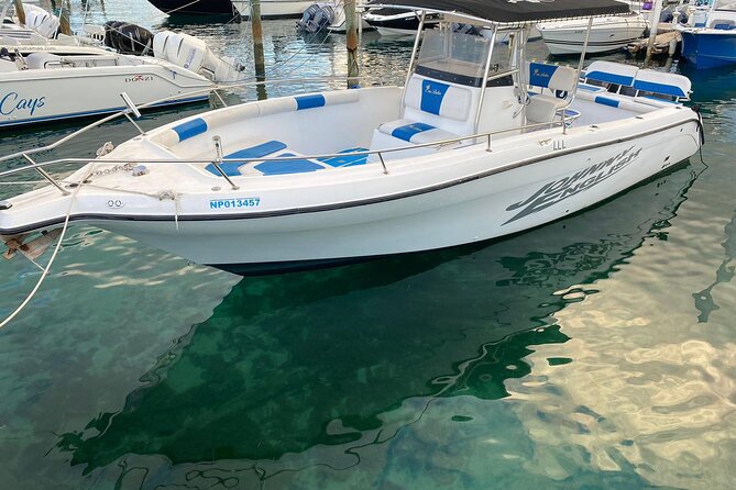 Swim With Pigs & Snorkeling With Turtles Cay Hopping in Bahamas - Reviews