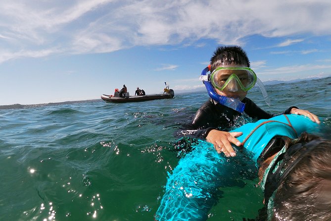 Swim With Seals - Meeting and Pickup Details