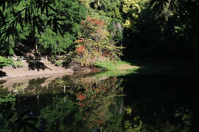Taino Valley Tropical Park Puerto Plata Tubagua - Reviews and Customer Support