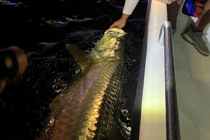 Tarpon & Snook Fishing Charter in Ft. Lauderdale - Common Questions