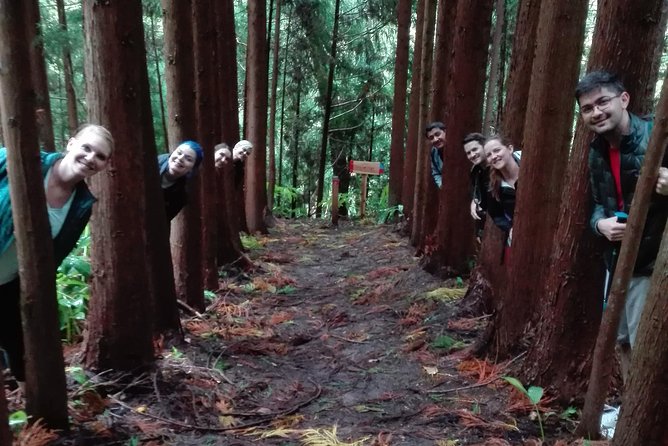 The Great Waterfalls Hiking Tour - Tour Pricing and Availability