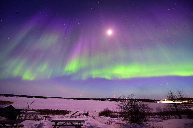 The Greatest Valuable Aurora Manor & Hunting Tour --Exclusive Tour Operator - Tour Operator Background