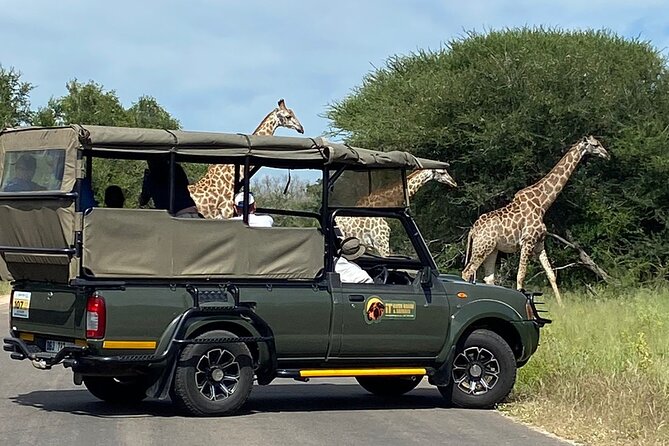 The Kruger National Park - Full Day Tour - Pricing and Booking Information