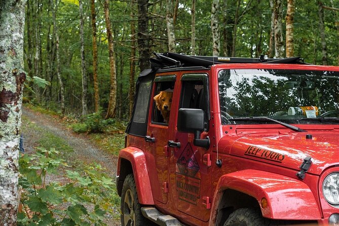 The Margaree Mountaineer - Private On or Off-road Jeep Tour - Experienced Guides