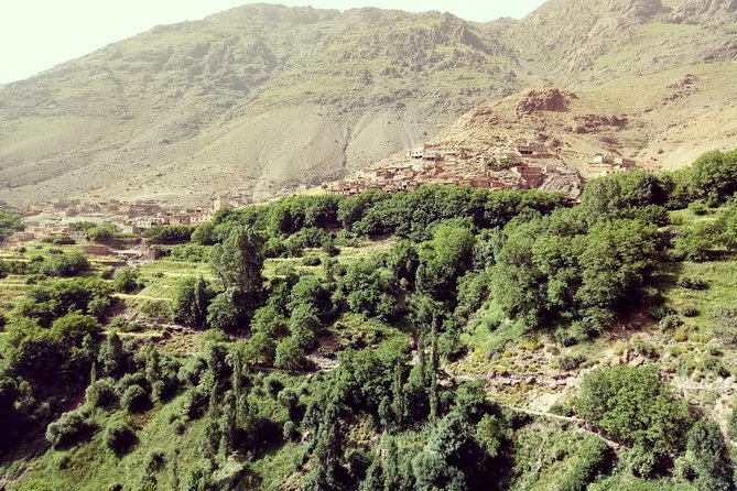 Trekking in Morocco / Atlas Mountains and Sahara Trek (5days) - Authentic Moroccan Cuisine: A Gastronomic Journey