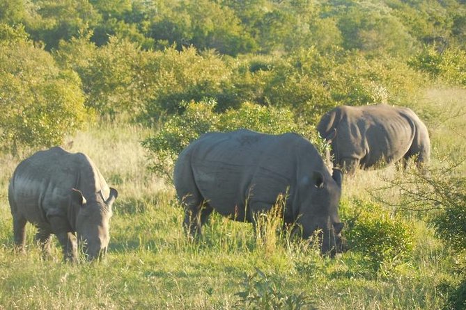 Two Days, One Night Tour: Blyde River to Kruger National Park - Pricing and Terms & Conditions