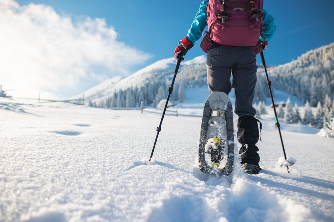Unforgettable Snowshoe Adventure in the Colorado Rockies - Reviews