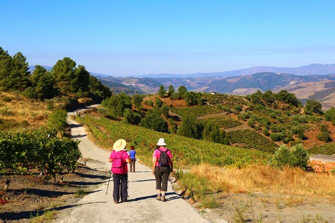 Valença Do Douro Walking Tour - Common Questions