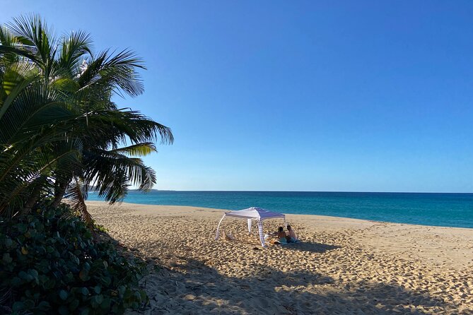 Vida Vistas - Tailor Made Luxury Picnics - Traveler Photos