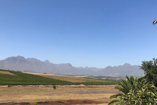 Vine Hopper: Hop-On Hop-Off Wine Tour - Northern Route - Additional Inclusions and Amenities