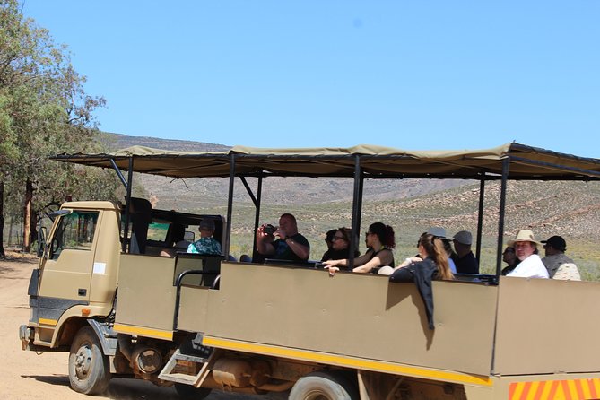 Visit African Big 5 Safari Aquila Game Reserve From Cape Town - Full Day - Reviews