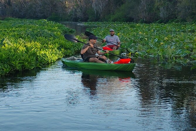 Wekiva Wildlife Kayaking Adventure Tour - Meeting and Pickup Details